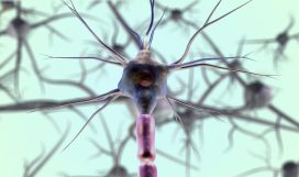 neurons-gb16194faa_1920