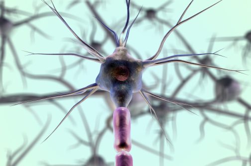 neurons-gb16194faa_1920